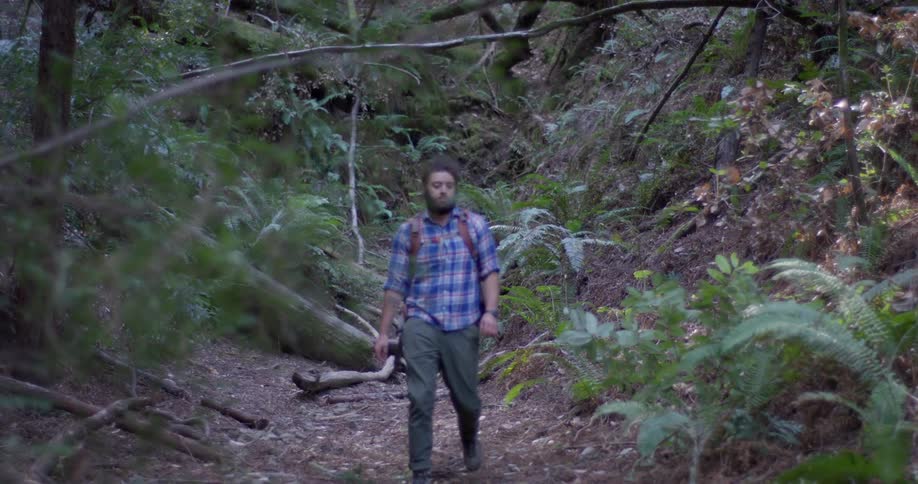A man hikes in the woods