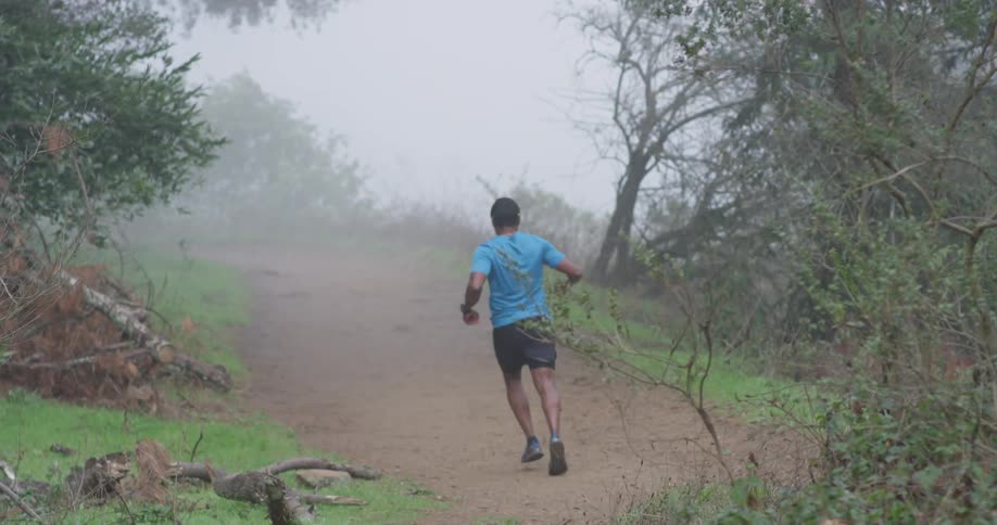 Runner In Forest