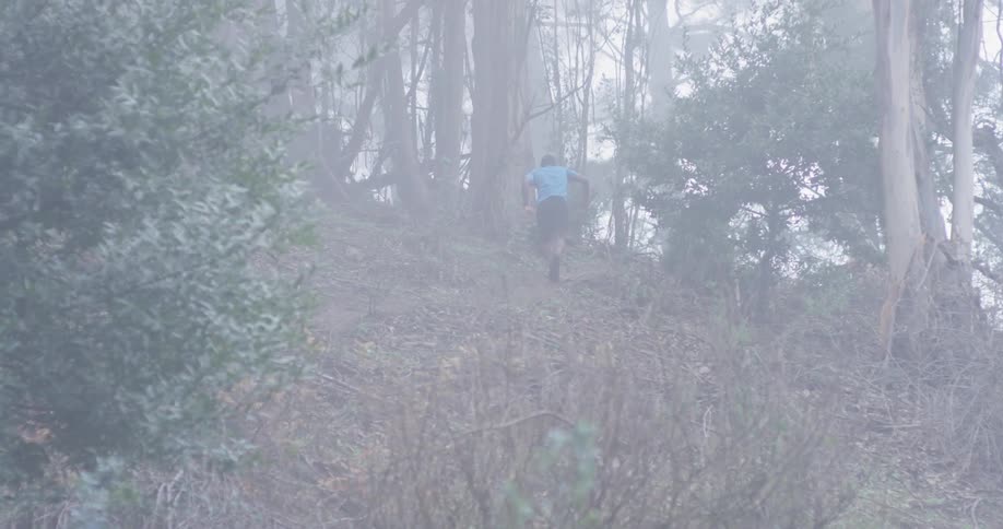 A man jogs in a forest
