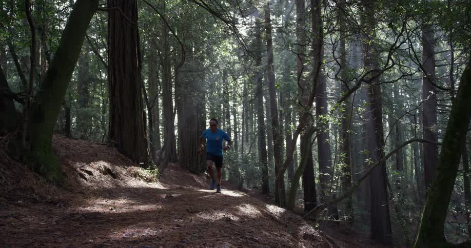 Runner In Forest