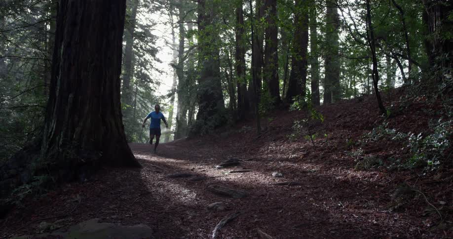 A man jogs through the woods