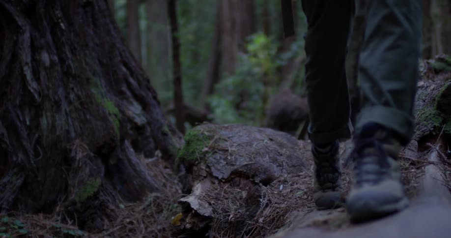 A man hikes through the woods