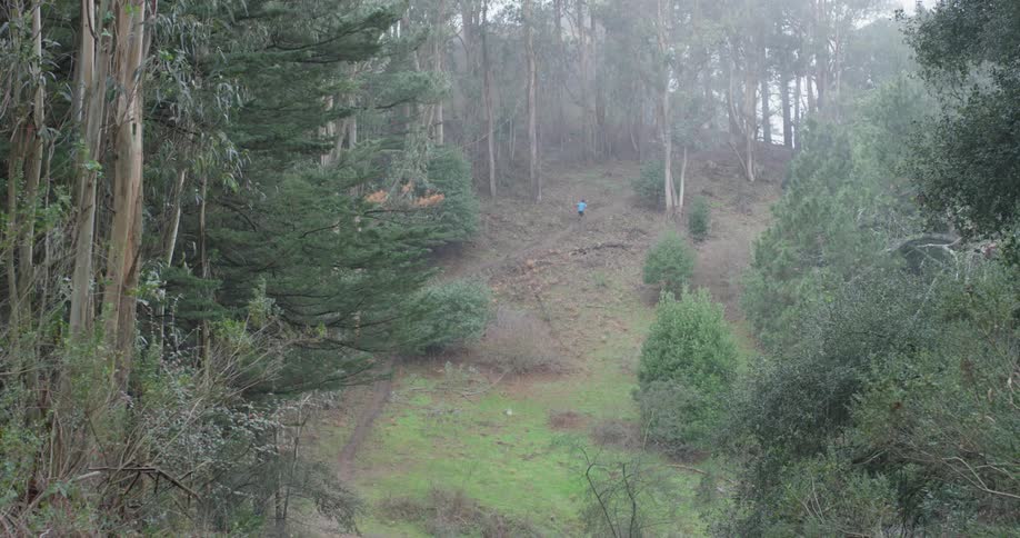 Runner In Forest