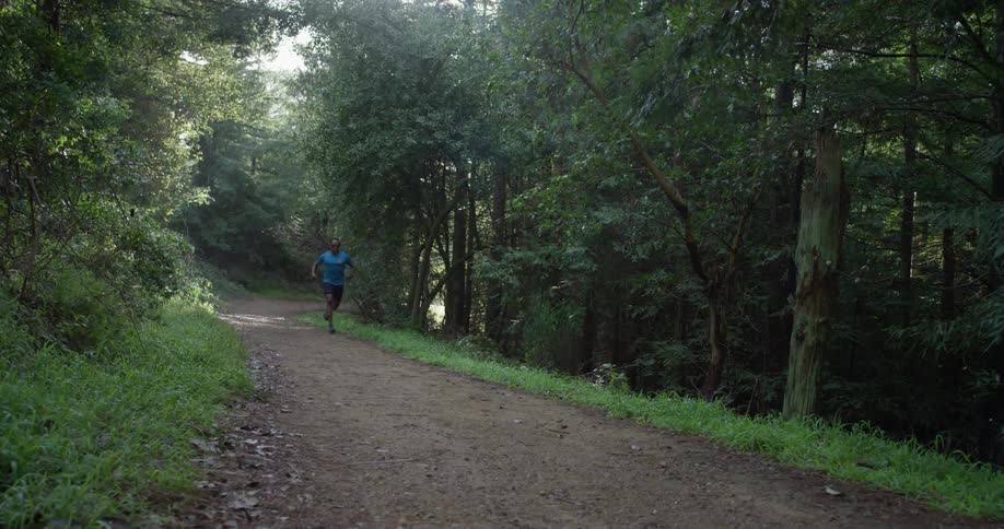 A man jogs in a forest