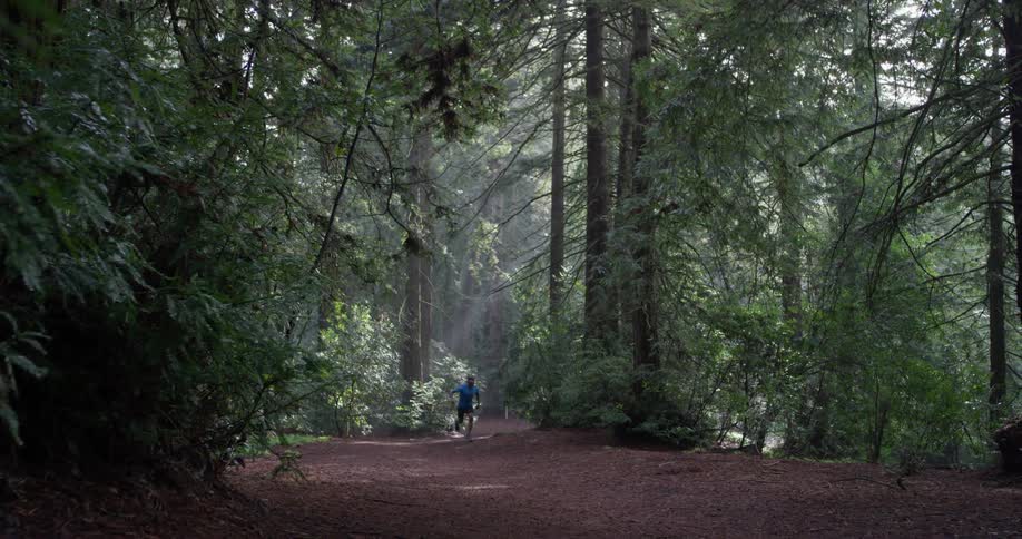 A man jogs in a forest