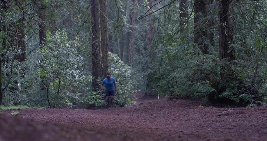 Man is jogging through shady forest