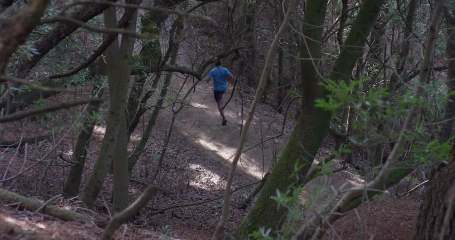 A man jogs in the woods