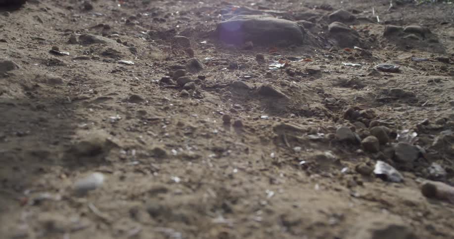 A person jogs over the rocks on the field