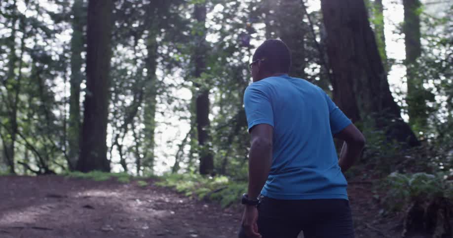 A ban walks on a forest trail