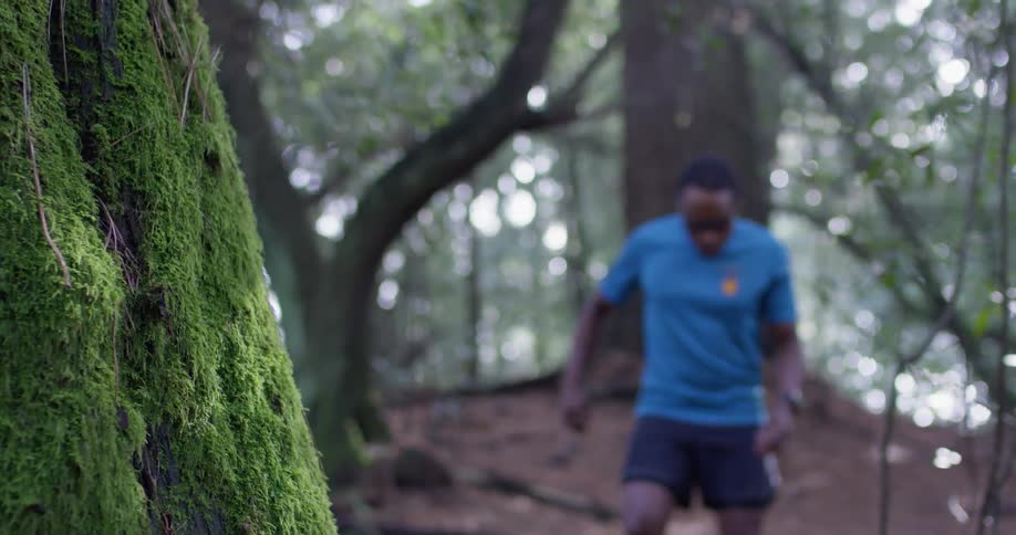 A man walks in a forest
