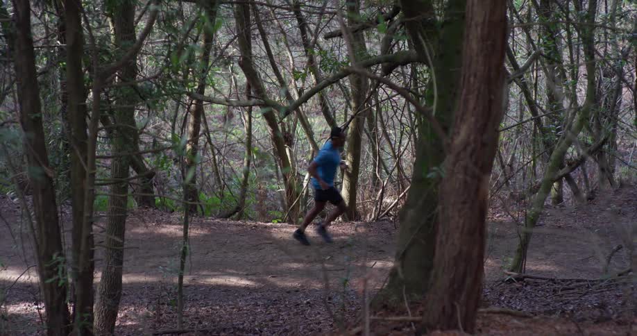 A man jogs in a forest