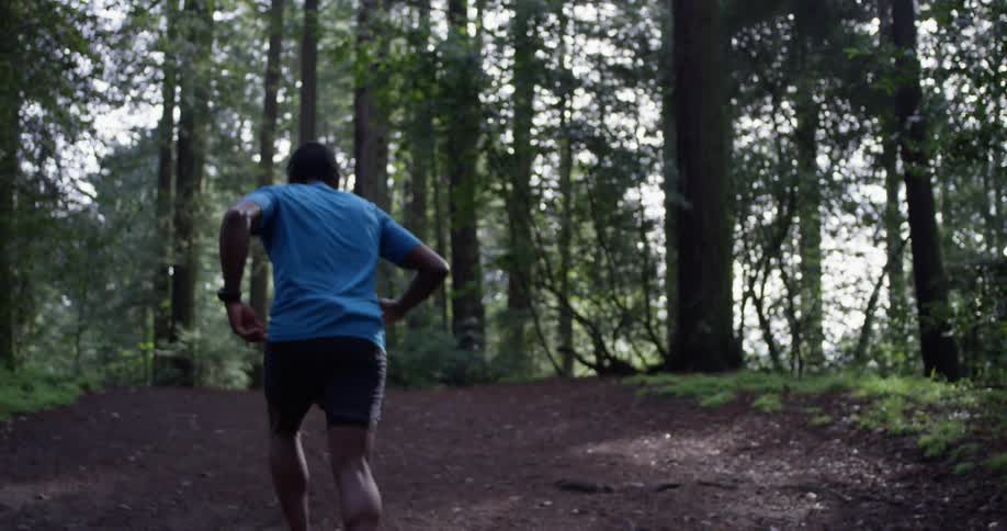 Runner In Forest
