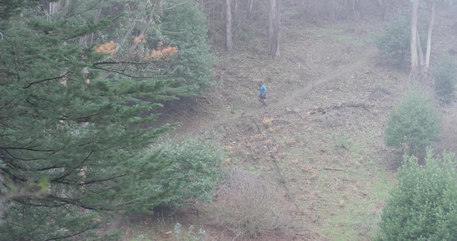 Man jogs through the woods on a small path