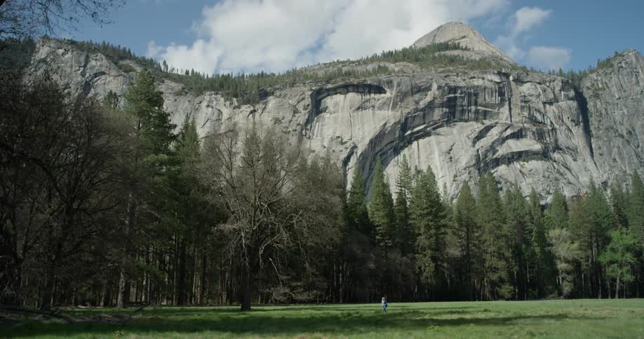 A hiker walks in a mountain forest