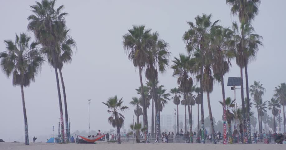 Venice Beach Scenics