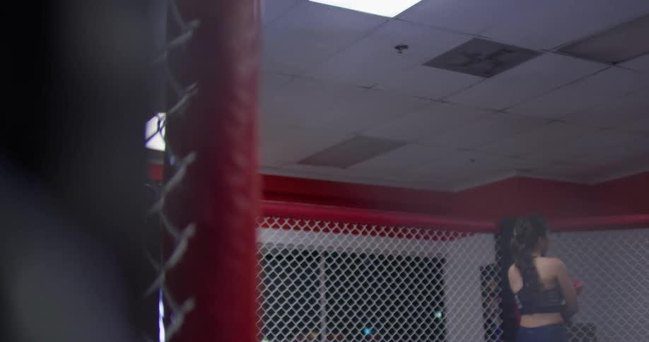 Woman Boxing