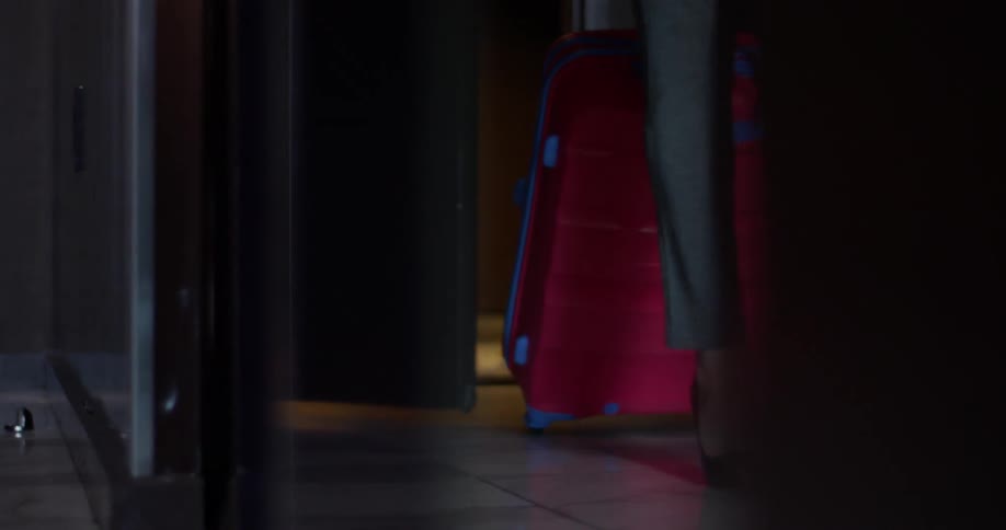 A person enters pulling a suitcase