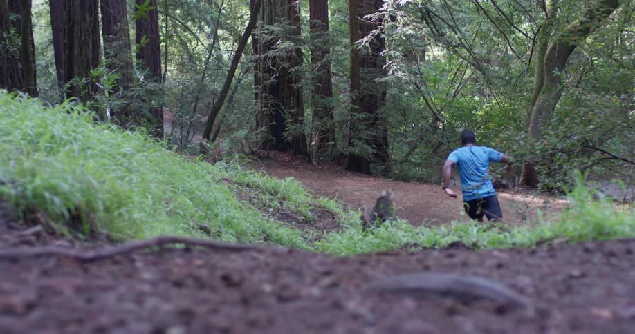 Runner In Forest