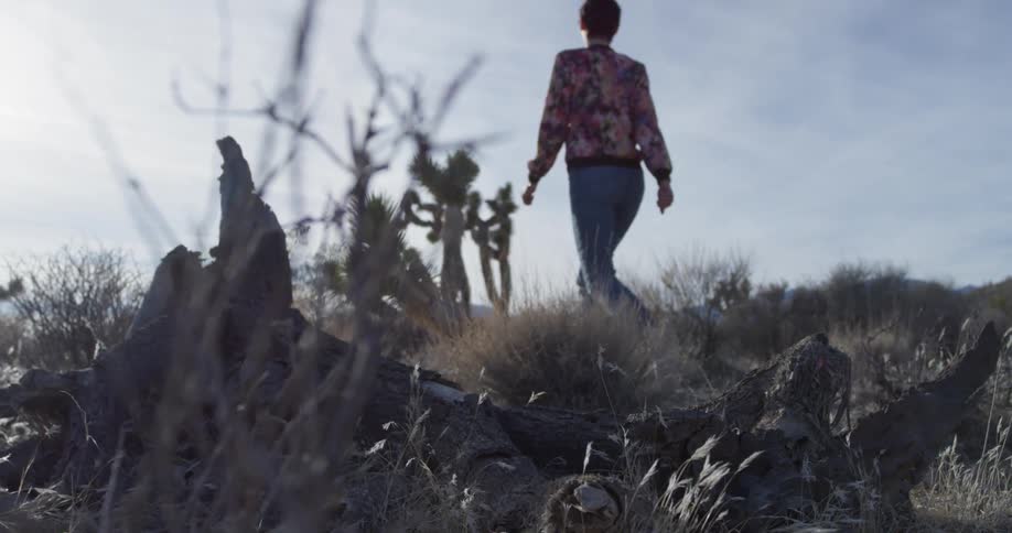 A woman hikes out into the desert