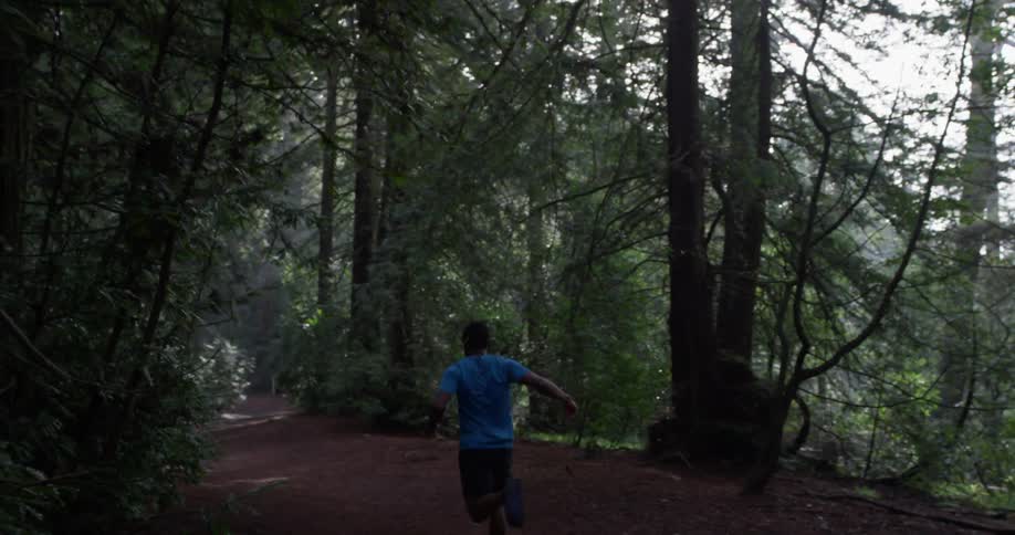 A man jogs in a forest