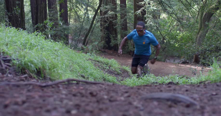 A man jogs in a forest