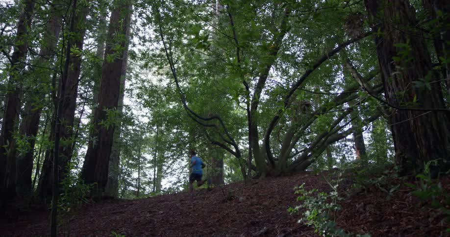 A man jogs through the woods