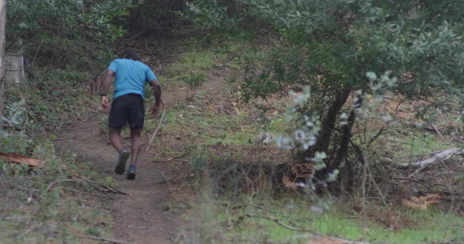 Runner In Forest