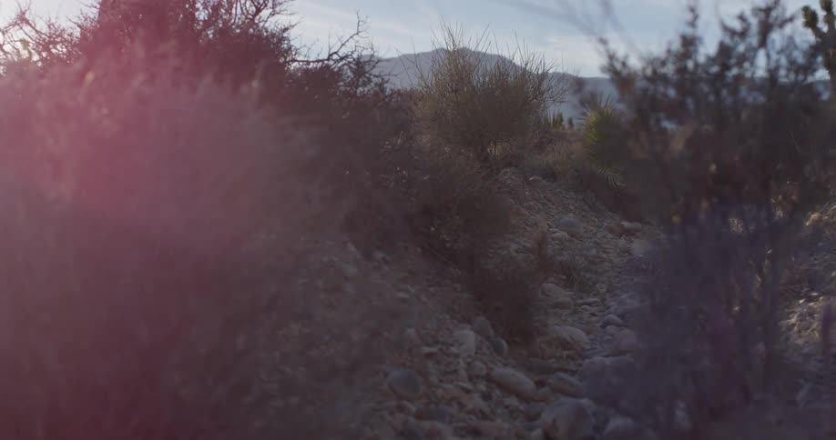 Woman jumps over an opening in the trail