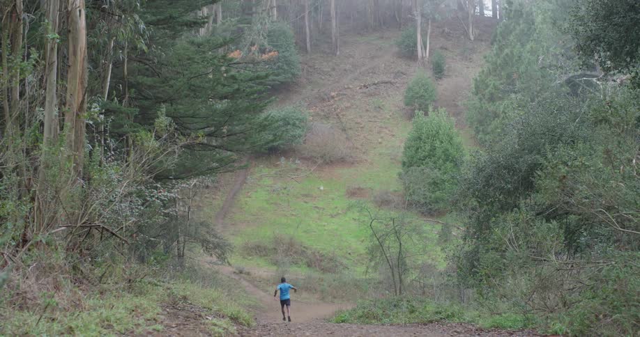 A man jogs in a forest