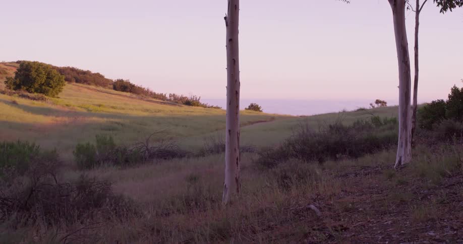Person jogs over grassy hills at sunset