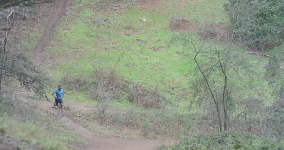 Runner In Forest