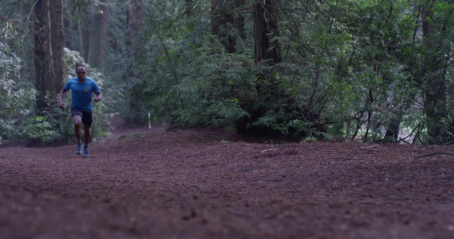 A man jogs through the woods