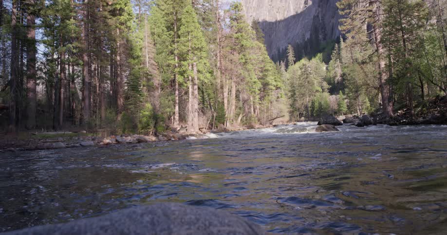 The stream is wide and moving fast