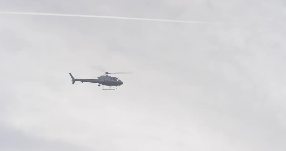 A bird flies near a helicopter on a cloudy day