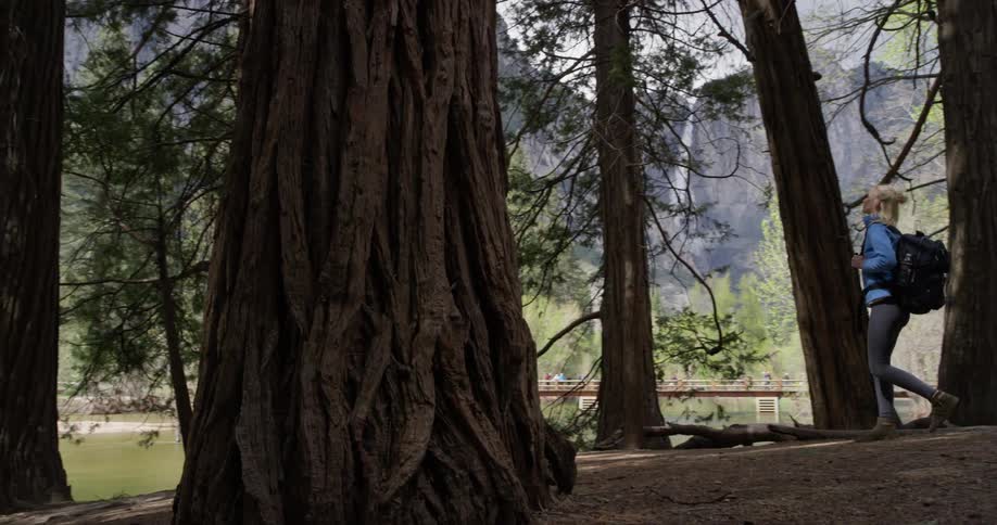 The woman walks through the forest near the mountain