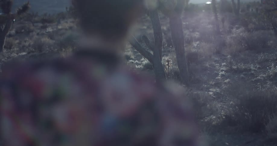 A woman walks in the desert towards a car