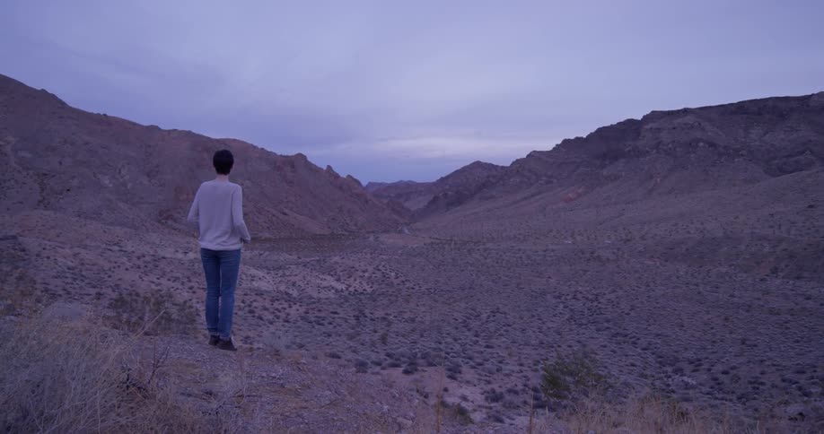 A woman stands alone in a desert