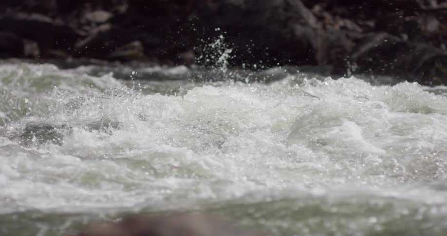Yosemite River