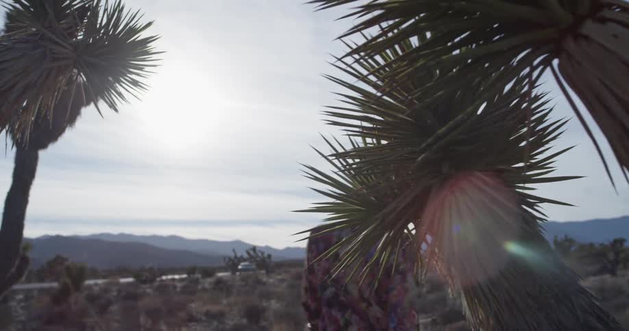 A woman walks past the cactus
