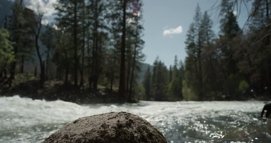 Yosemite River