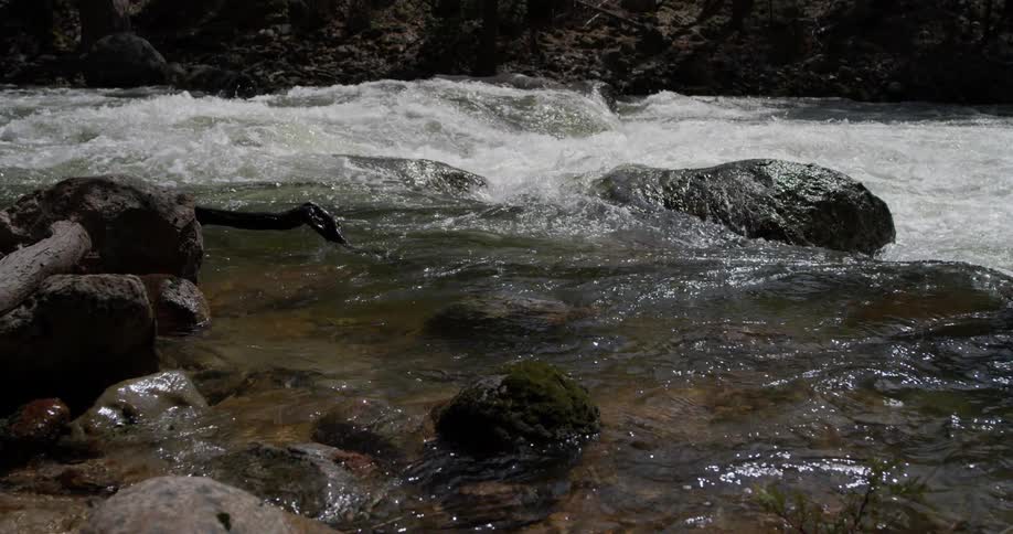 The stream is very wide on a sunny day