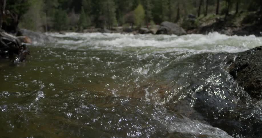 A river flows through a forest