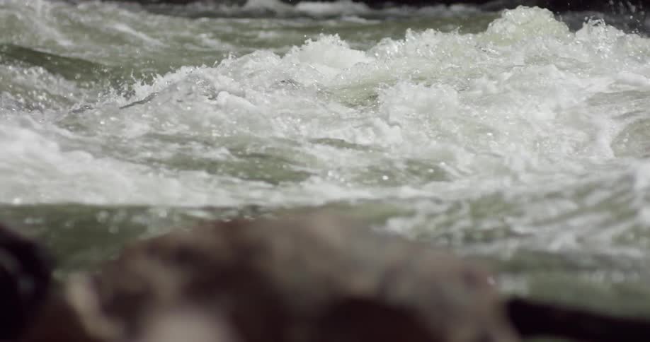 Yosemite River
