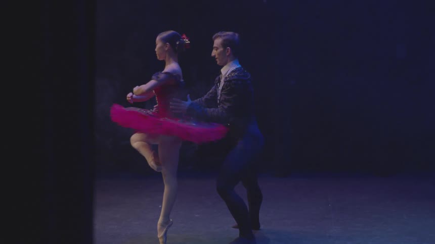 Ballet Dancers Performing
