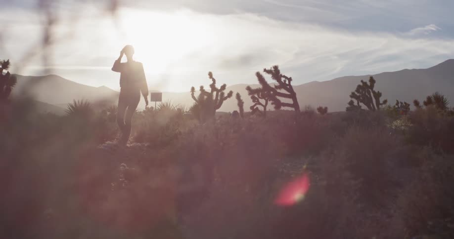 A woman walks alone in a desert