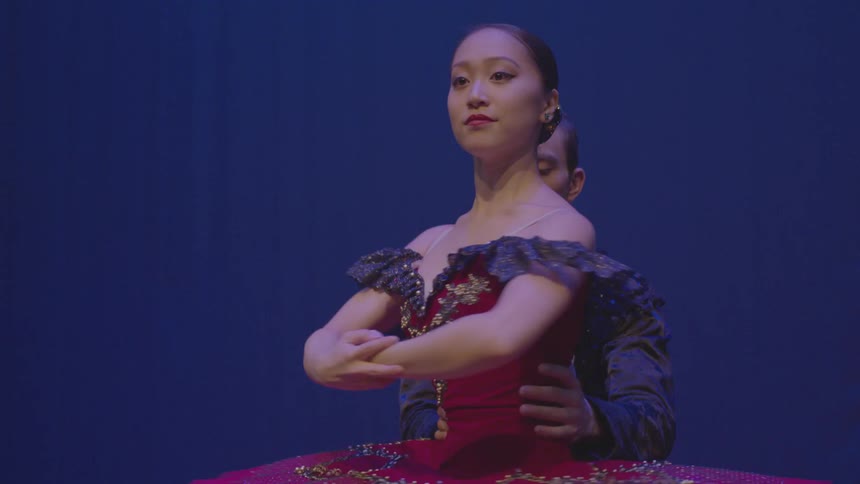 Two dances do a performance together
