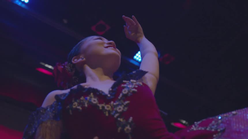 A dancer is lifted in the air