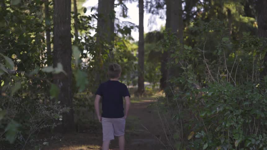 The boy walks into the forest