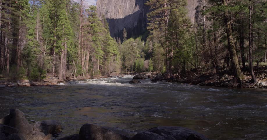 The forest and stream lead to a mountain