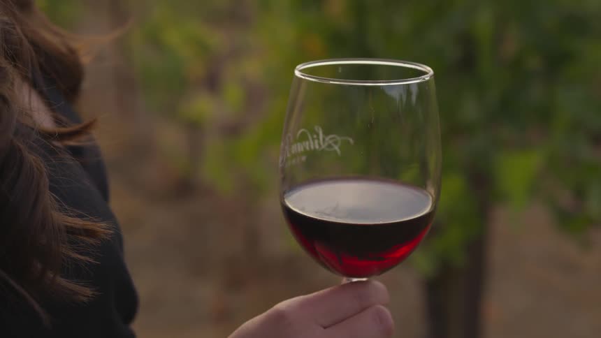 The woman is holding a glass of wine